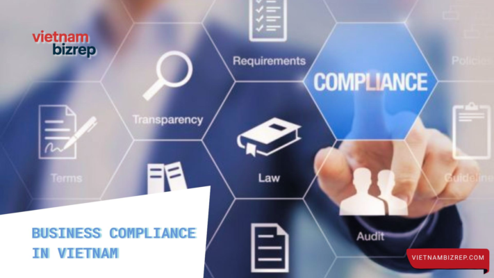 A professional business liaison working with legal documents during a formal meeting in Vietnam
