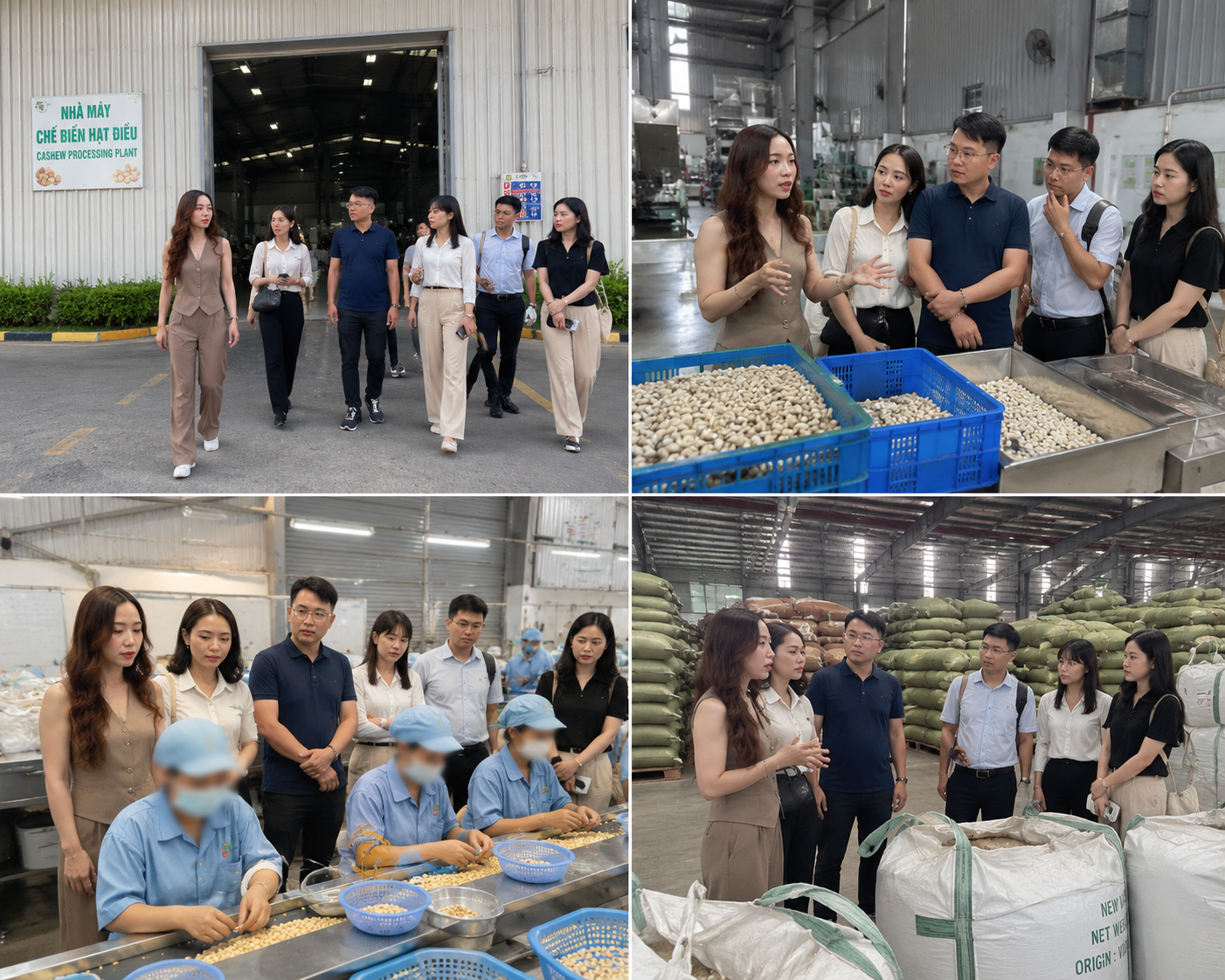 Buyer team arriving at Vietnam cashew processing plant entrance and inspecting cashew kernel production areas